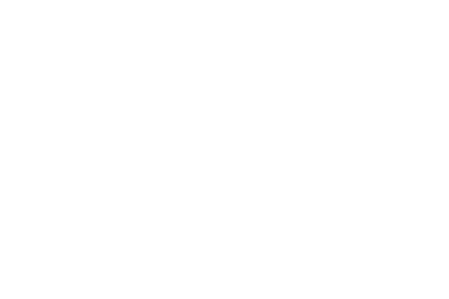 InvoPro